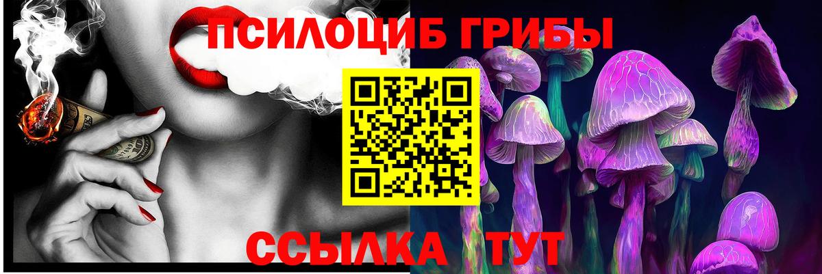 Псилоцибиновые грибы Psilocybe Старая Купавна